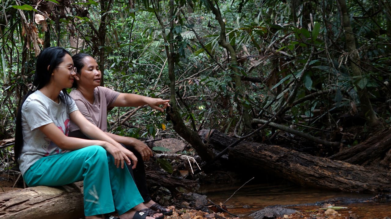 Maimun Lim Seng Huat sits on a log in the forest with a young woman and points to the stream in front of them. 