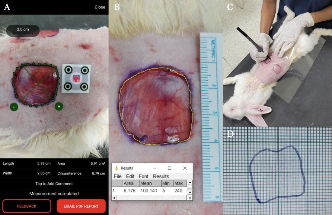 Wound measurement and wound research and with imito