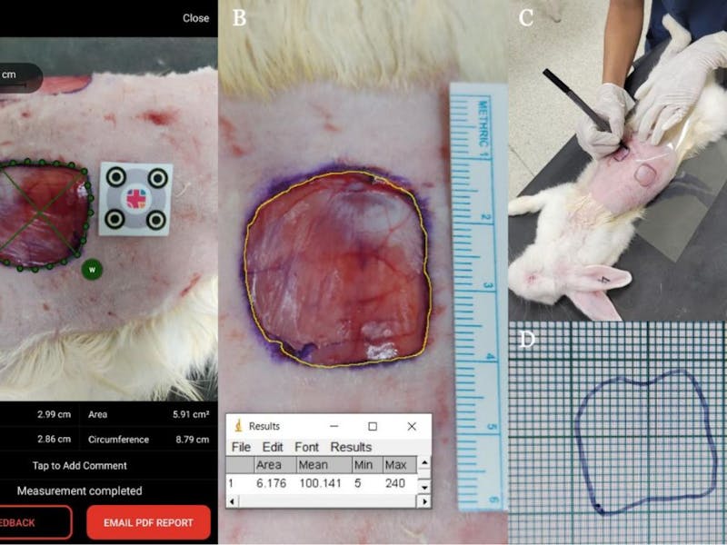Wundvermessung mit ImageJ vs. Wundvermessung App - Sharun et al.