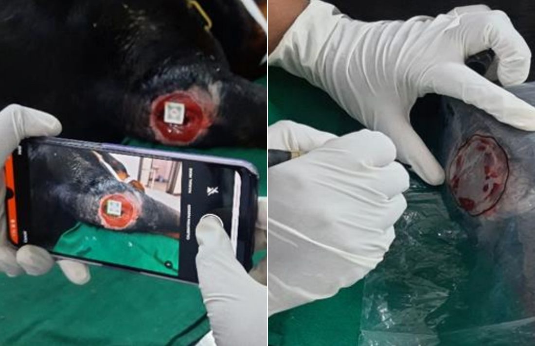 imitoMeasure as valid and reliable as acetate tracing