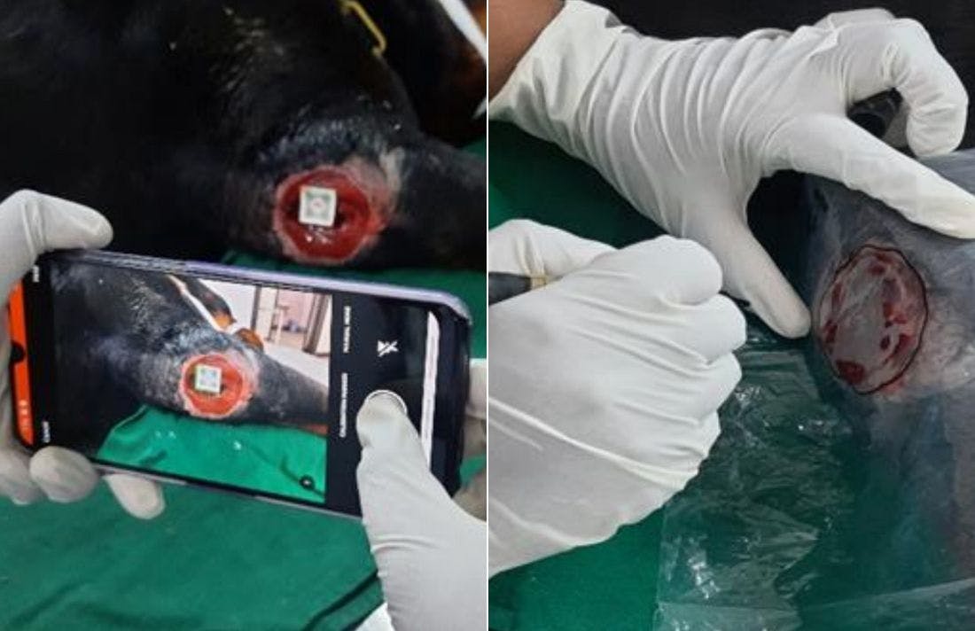 Wound measurement app for wound research