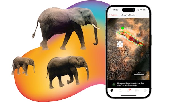 imito für die klinische Forschung - App für die präzise digitale Wundvermessung
