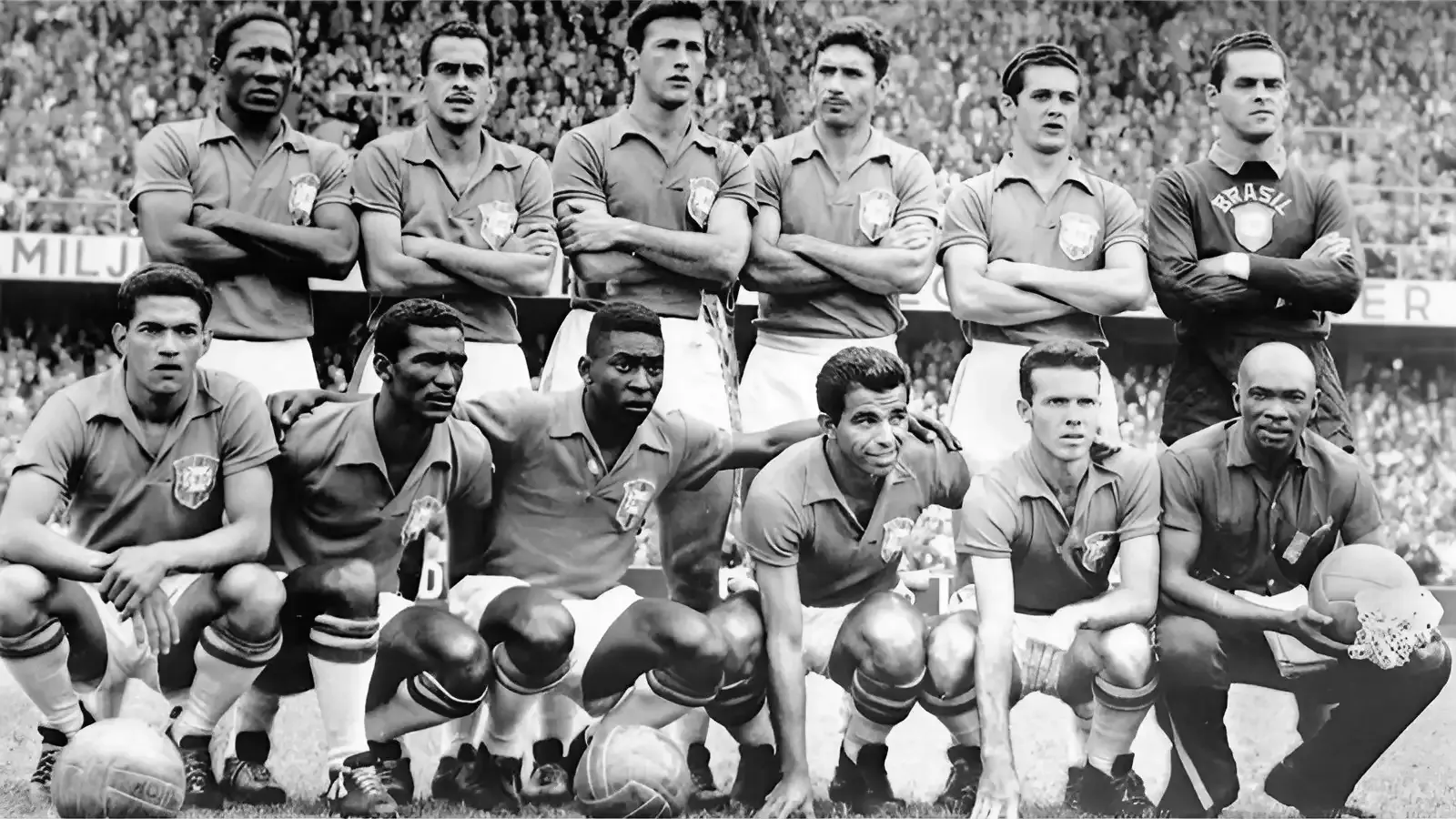 1958 World Cup, Brazil Squad