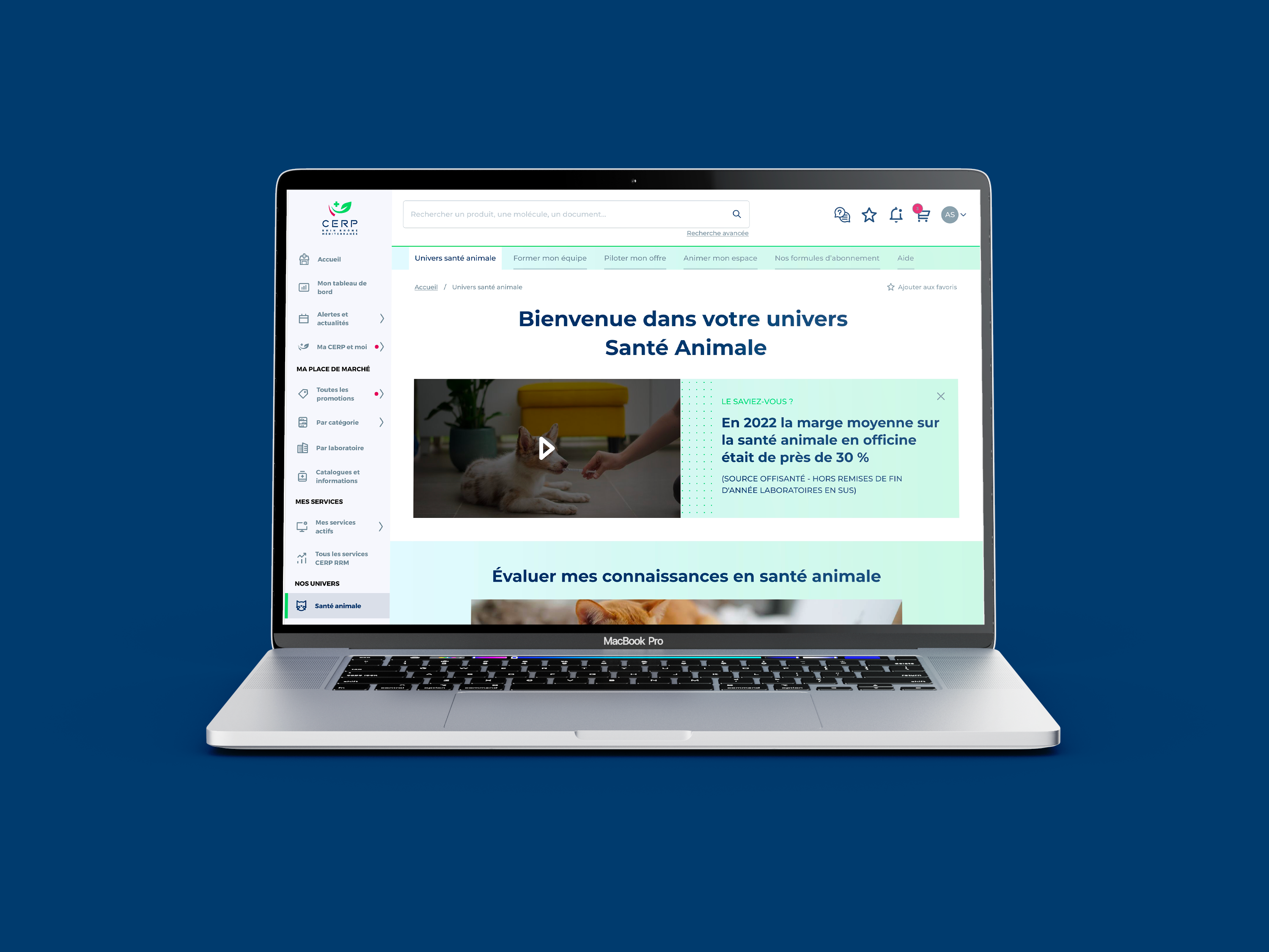 Illustration de la réalisation