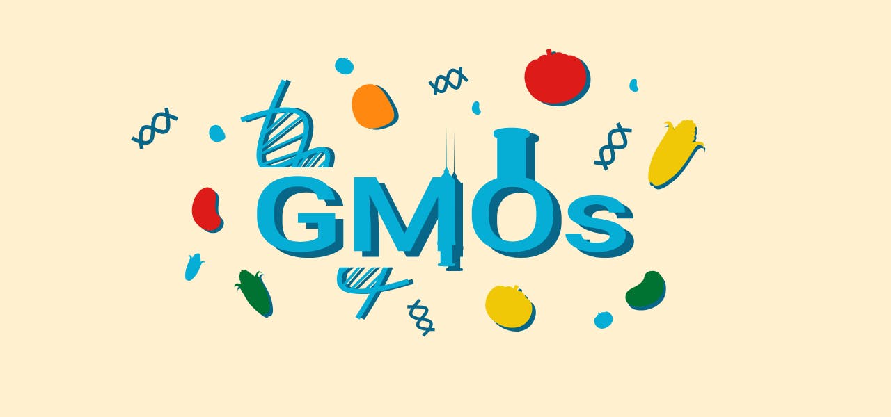 gmo negatives and positives
