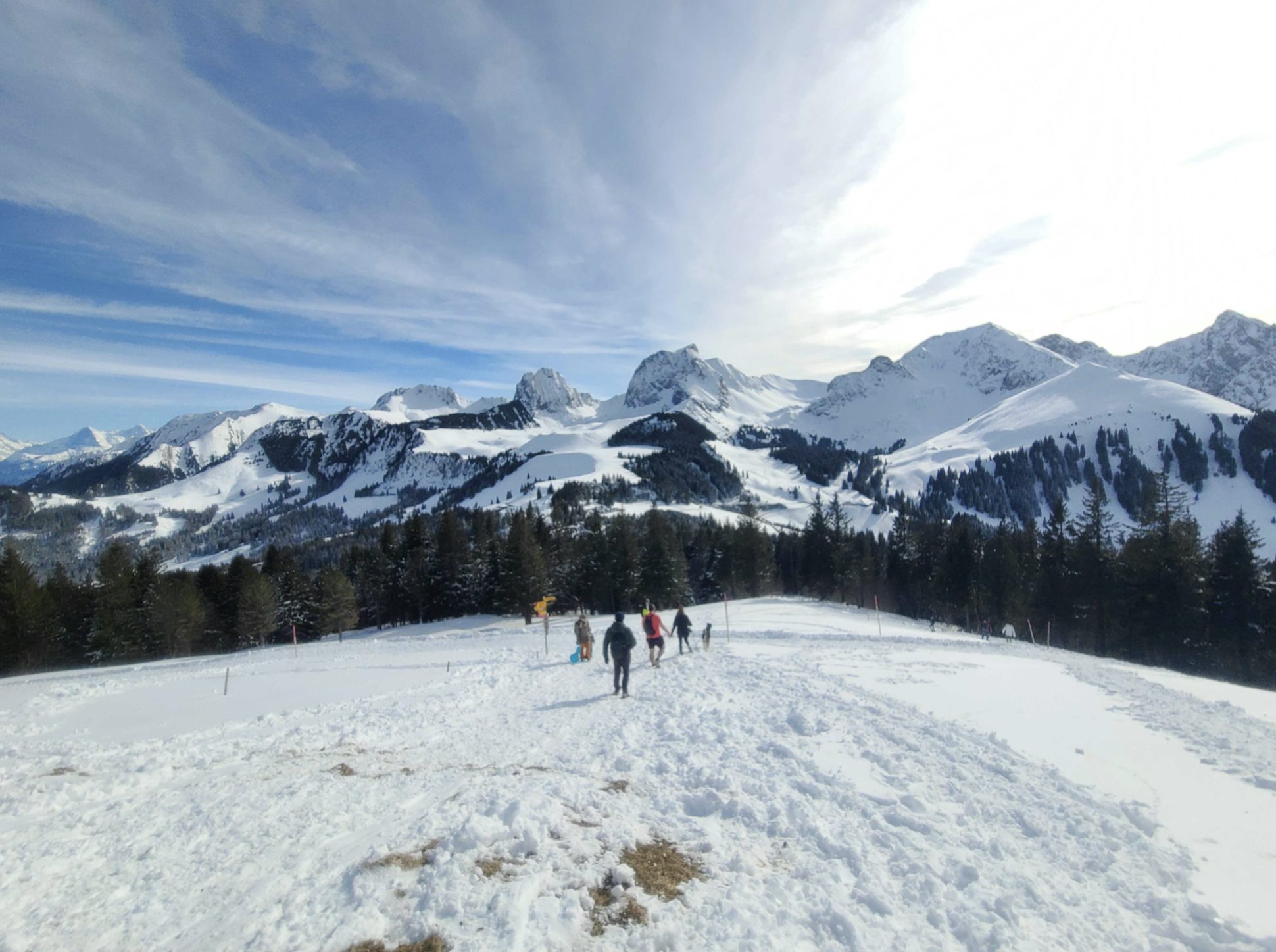 Mountain View with Impalans