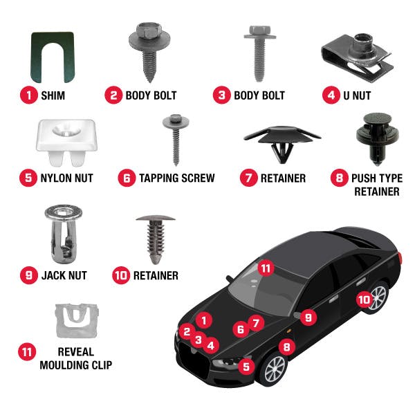 Body Clips Locations