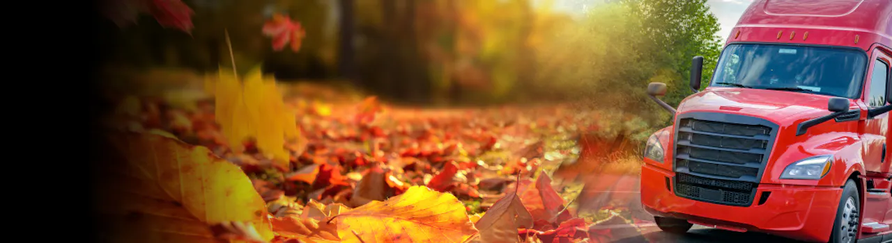 Fall Fix It | Imperial Supplies