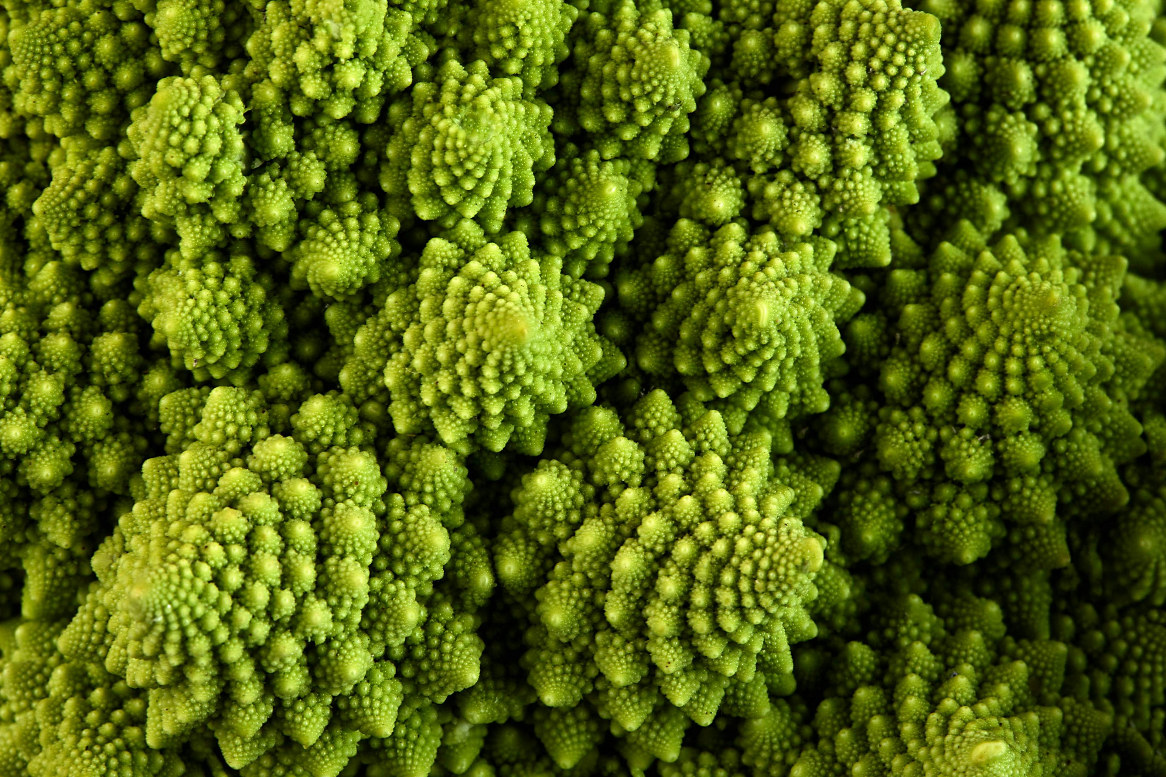 Broccoli