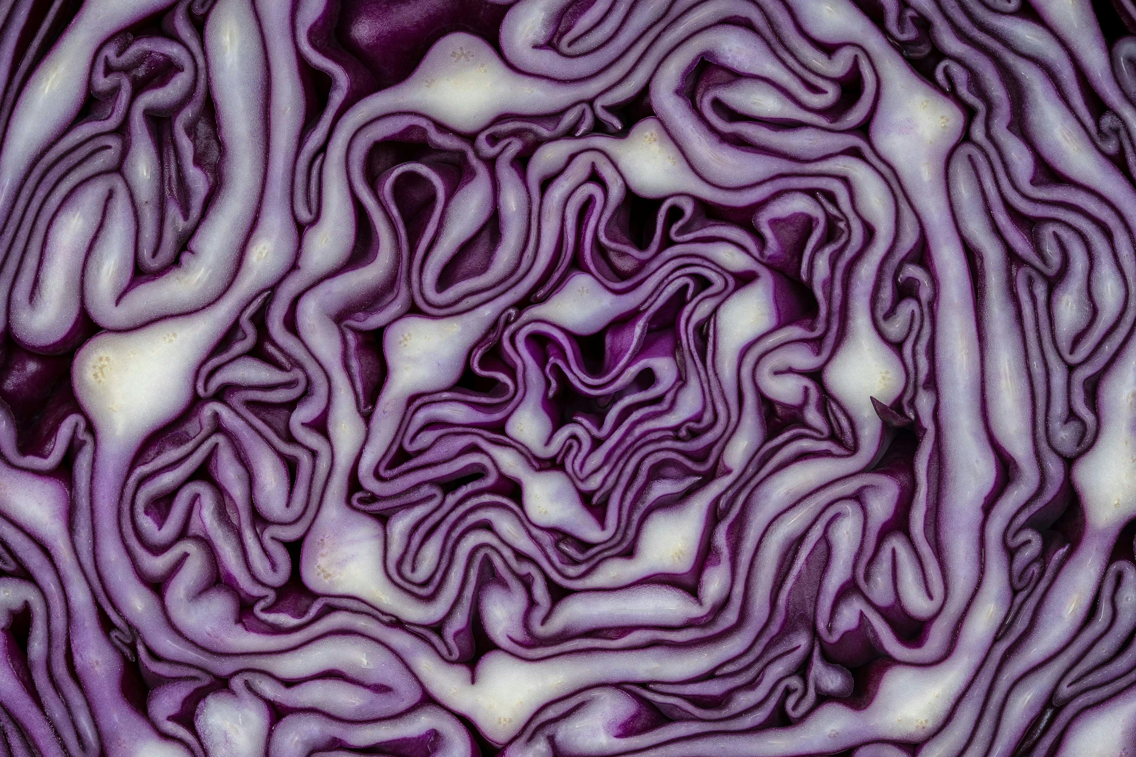 Cavolo