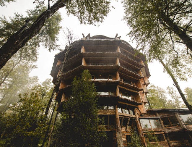 Casa na árvore da Bagi, QSMP Wiki