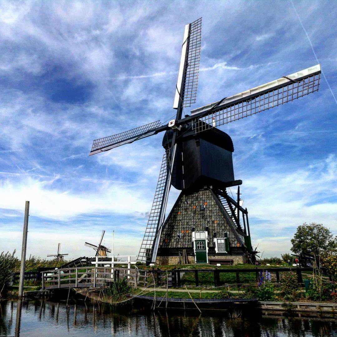 Moinhos, um símbolo da luta do país contra a água na Holanda