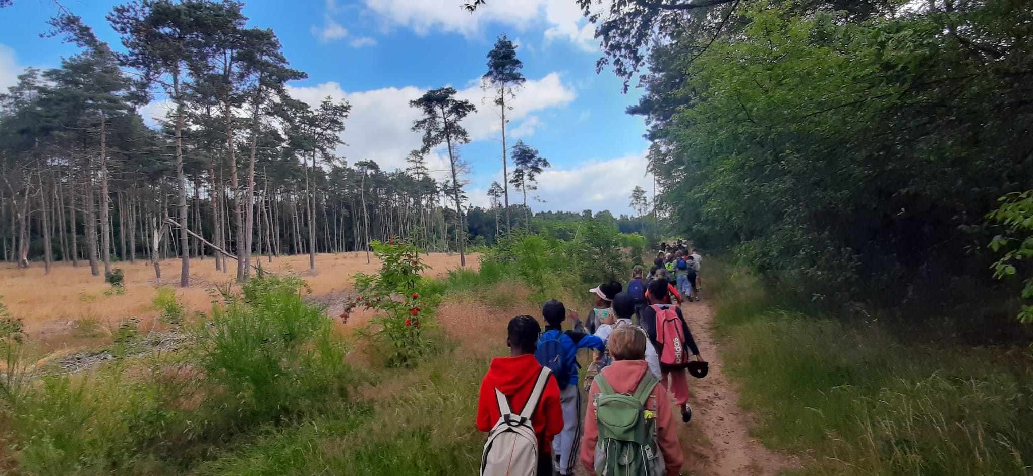 Photo des élèves en ballade lors d'une excursion de l'Institut Notre Dame Arlon.