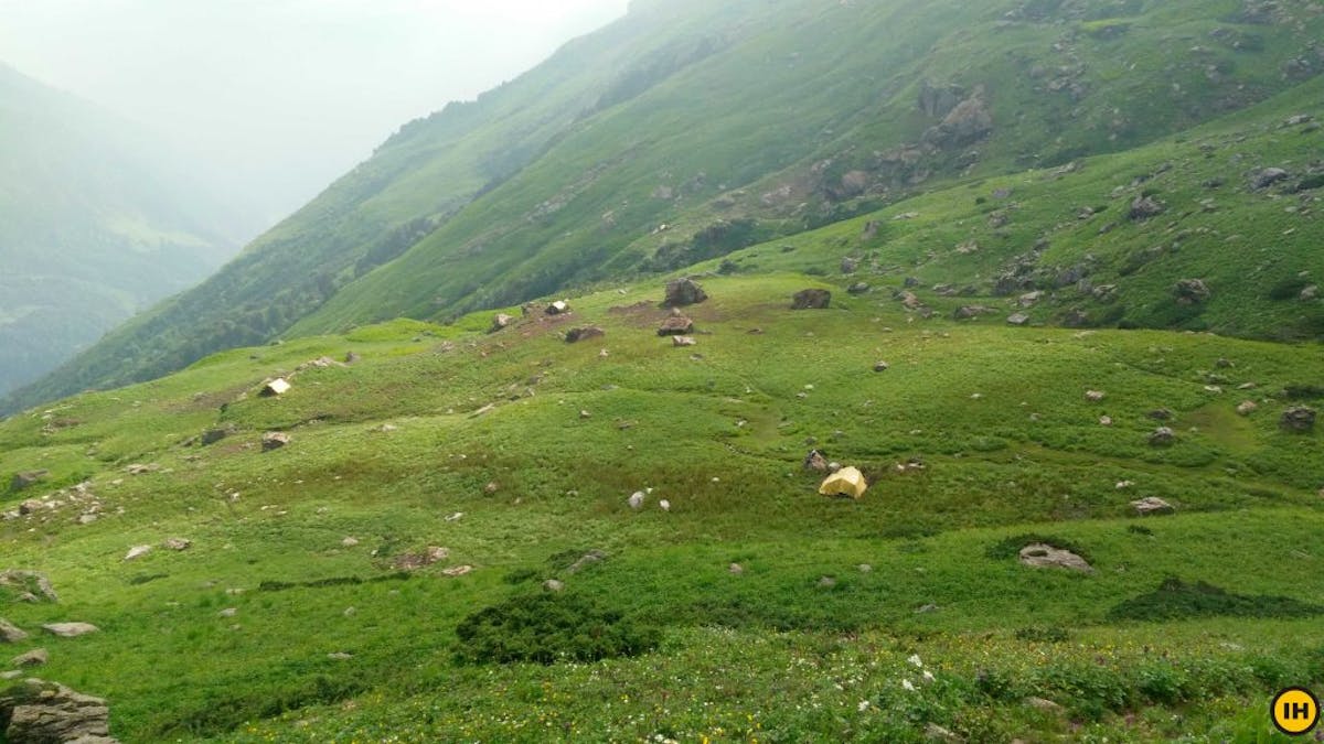 Gwaru Pass - Malana grasslands - Indiahikes archives