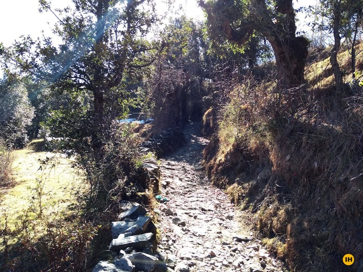 Ajan-Top-trail-through-forest-Indiahikes-Samkit-Jain