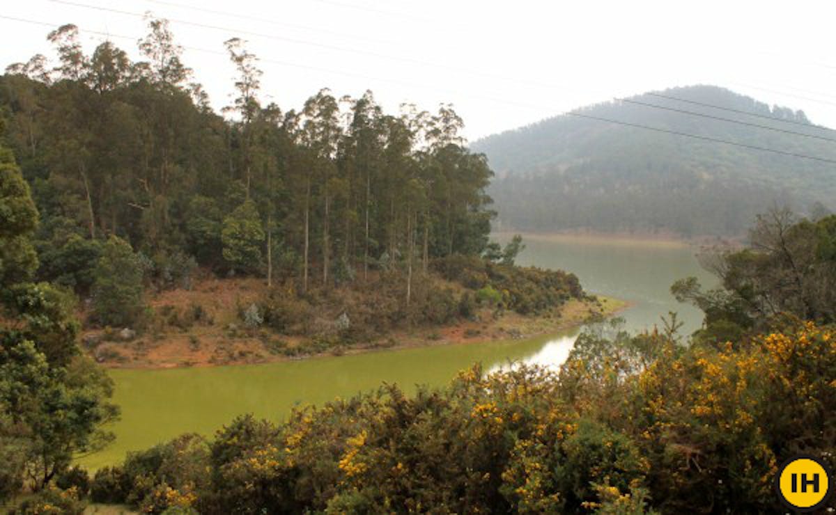 Nilgiris green lake trek