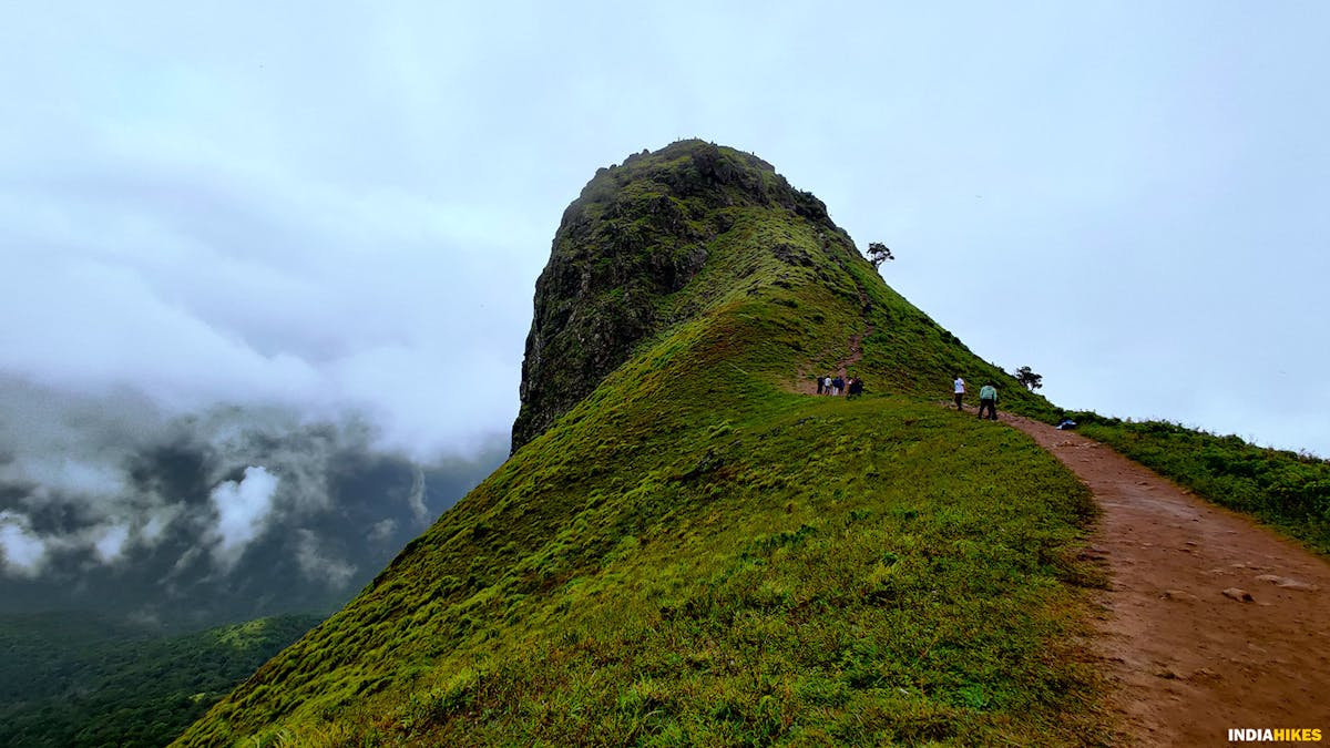 Ettina bhuja peak, Ettina Bhuja trek, western ghats treks, Indiahikes, treks in Karnataka, weekend treks ffrom Bangalore 