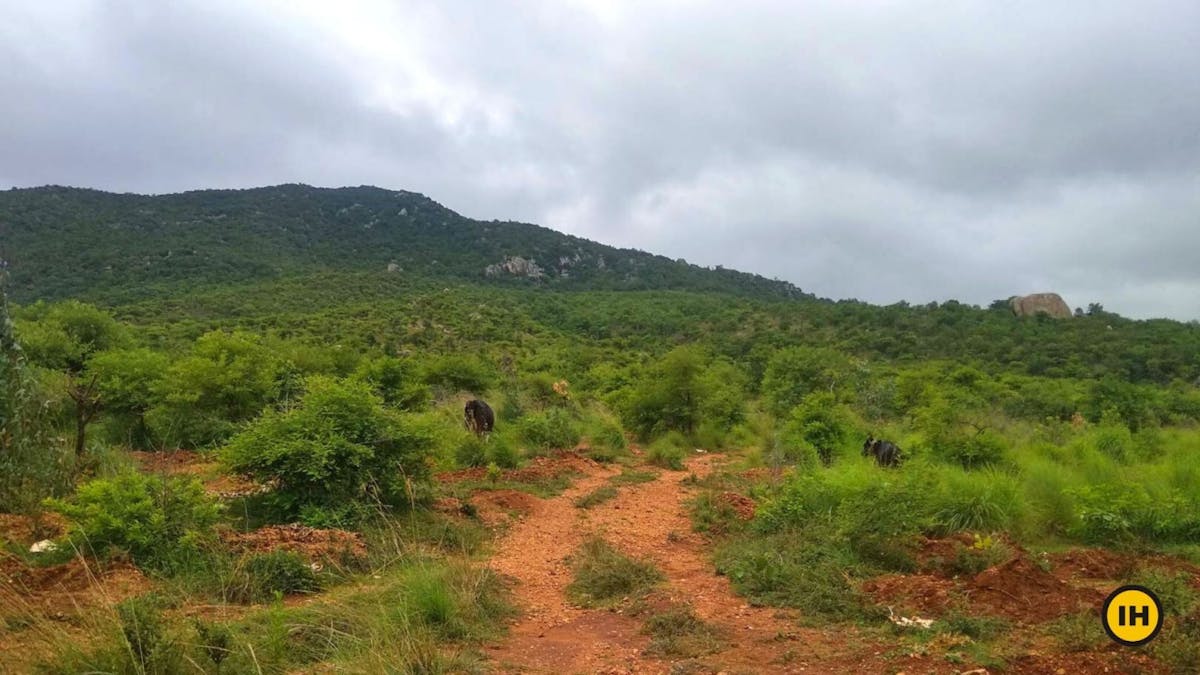 Halu-Chilume-Trek-Base-Indiahikes-Suhas Saya