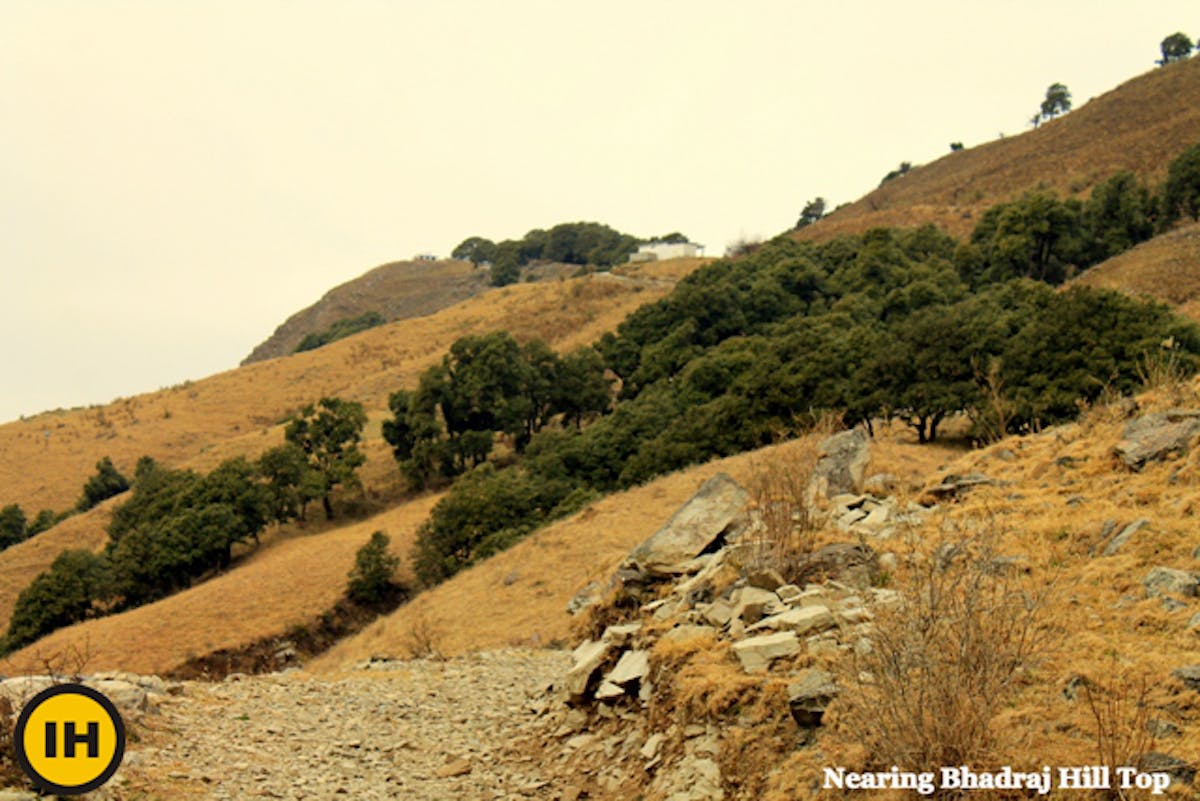 bhadraj hill-hill top-indiahikes-archives