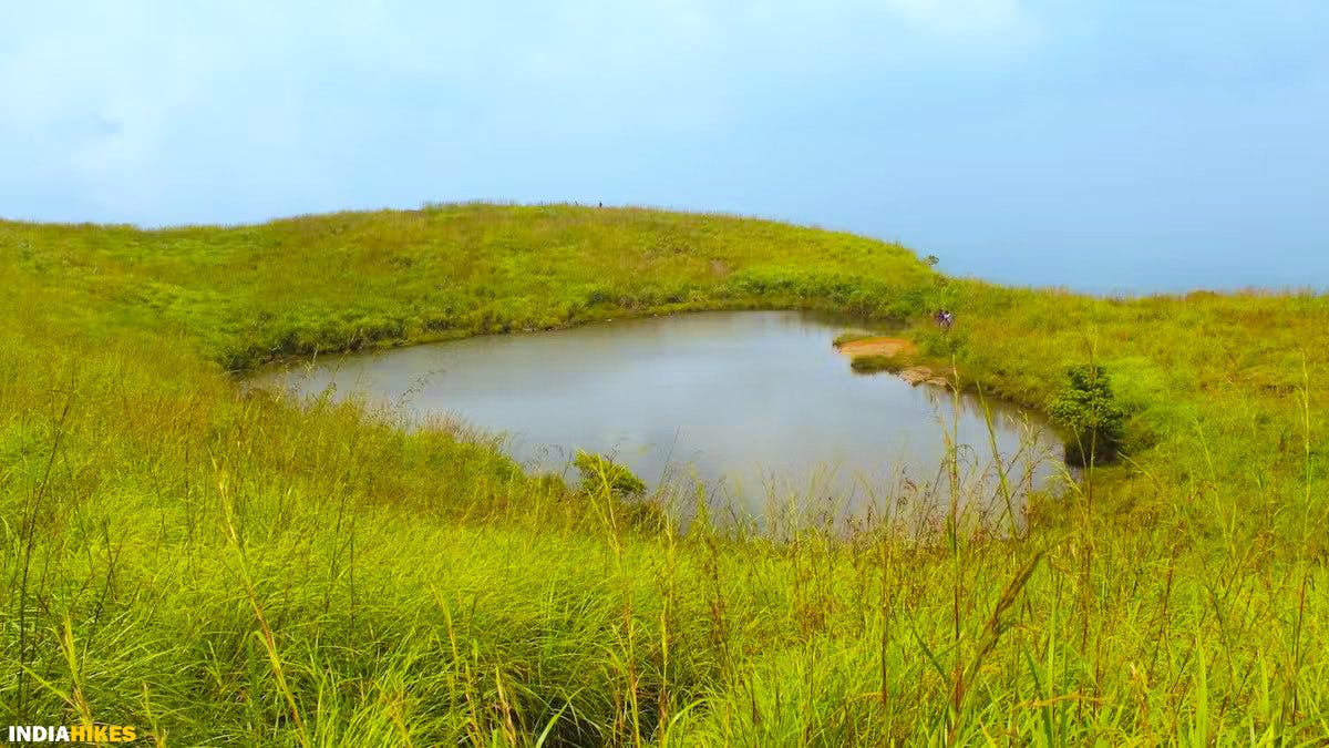 Chembra lake, Chembra peak, chembra trek, heart-shaped lake, treks in Kerala, Indiahikes