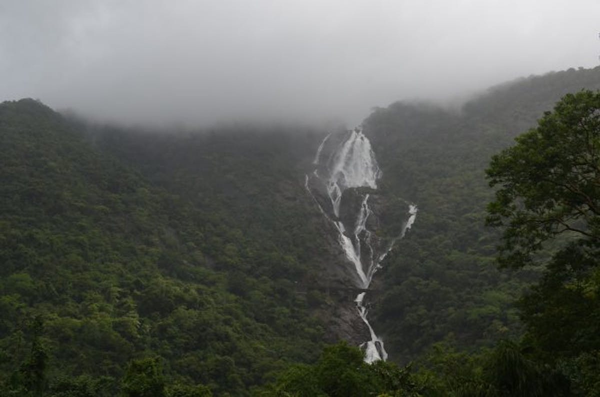Dudhsagar waterfalls trek