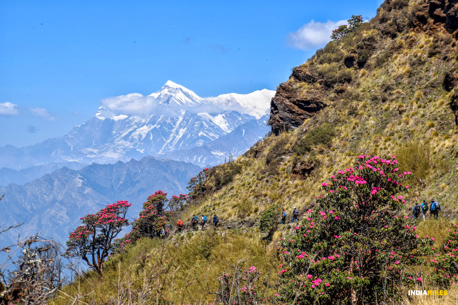 Khopra Ridge Trek #3