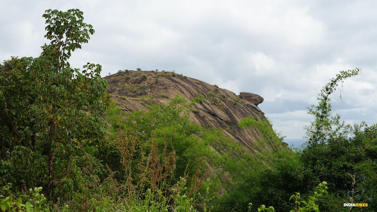 Bananthimari Betta,Indiahikes, Treks around Kanakapura