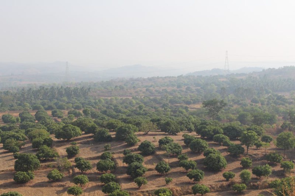 Views from top of Siddalingeshwara Betta