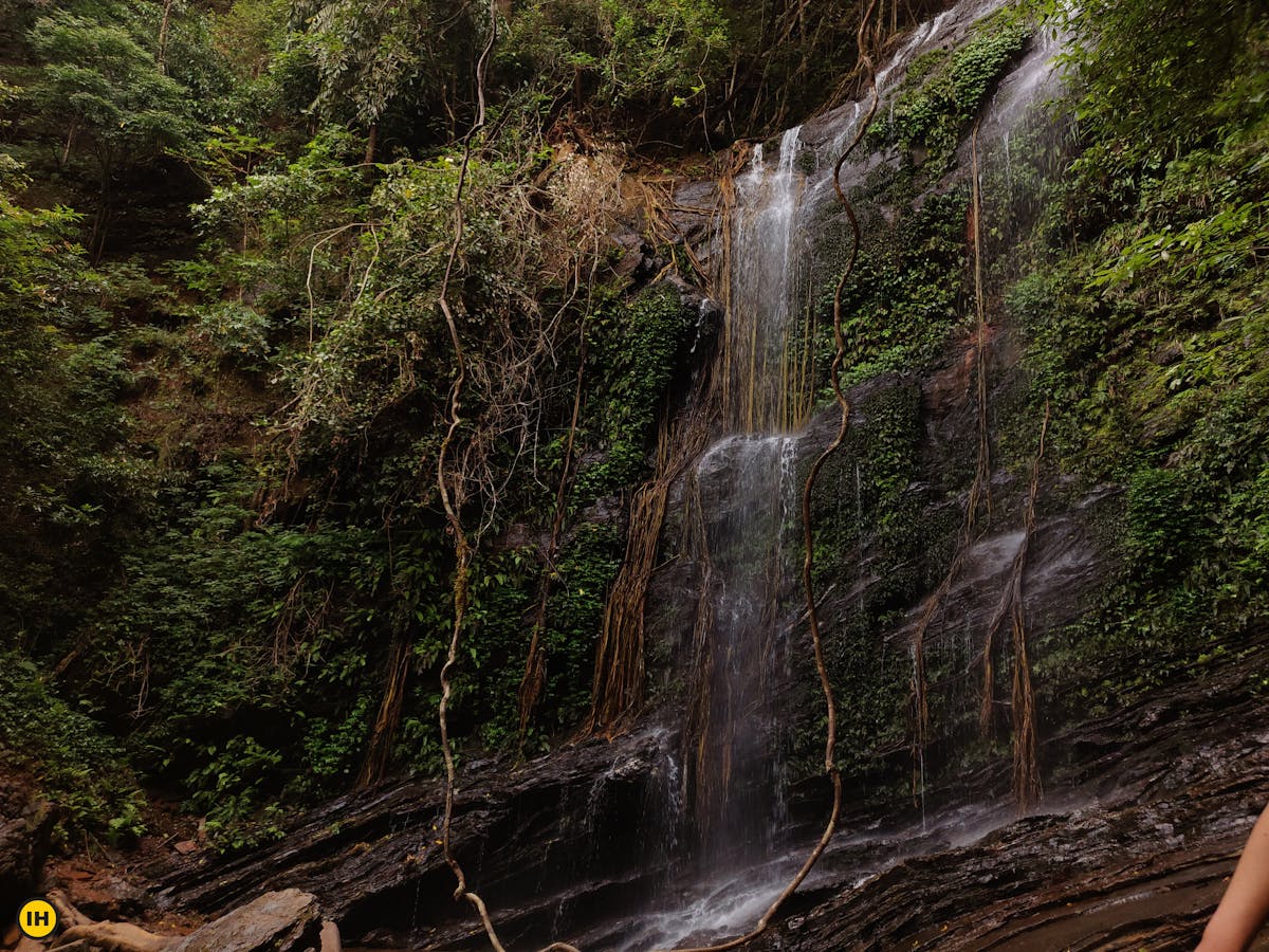 Hidlumane waterfall-Kodachadri Trek-Indiahikes-Suhas Saya