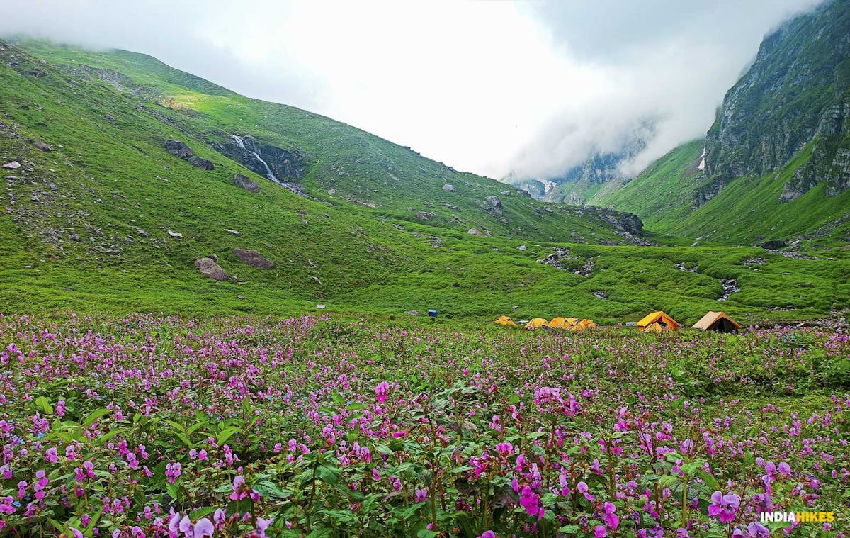 Hampta Pass, Indiahikes, Himachal treks, monsoon treks