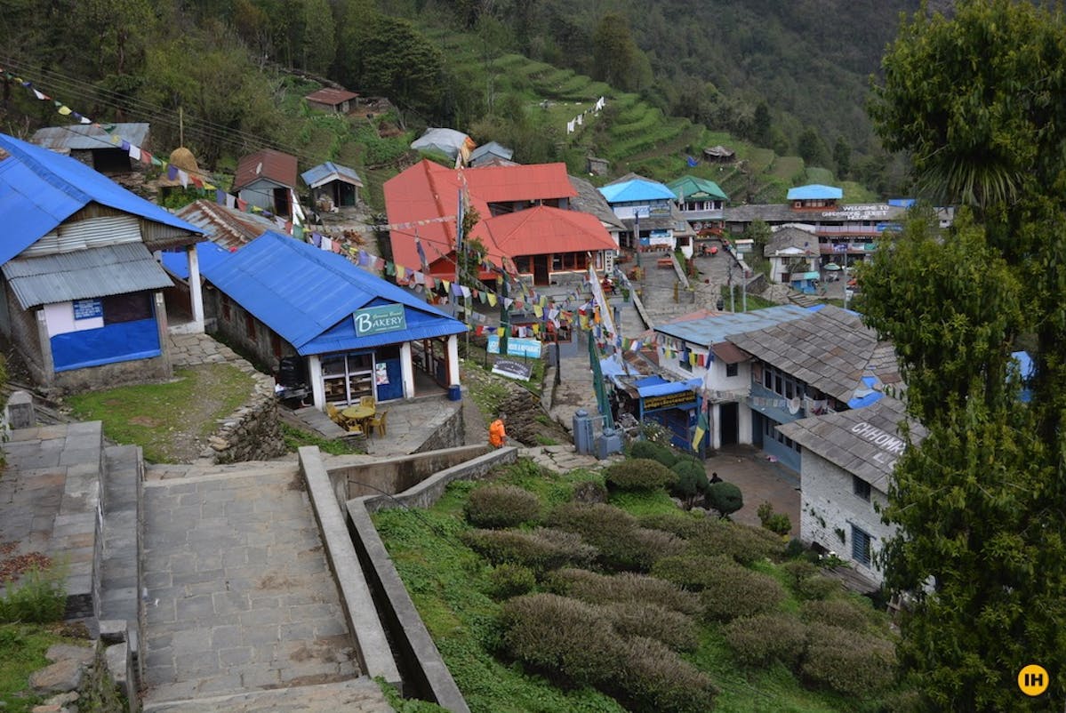 Chomrong tea houses