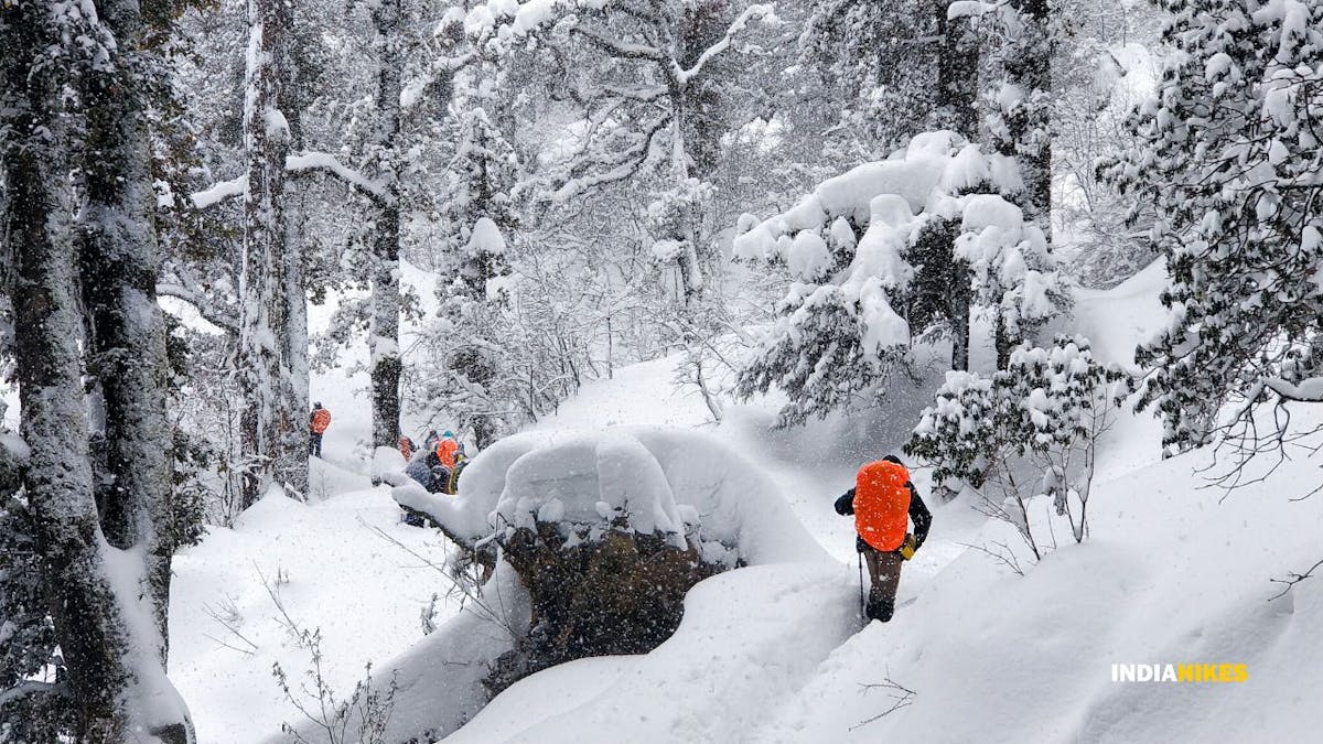 treks, himalayan treks, indiahikes, winter treks
