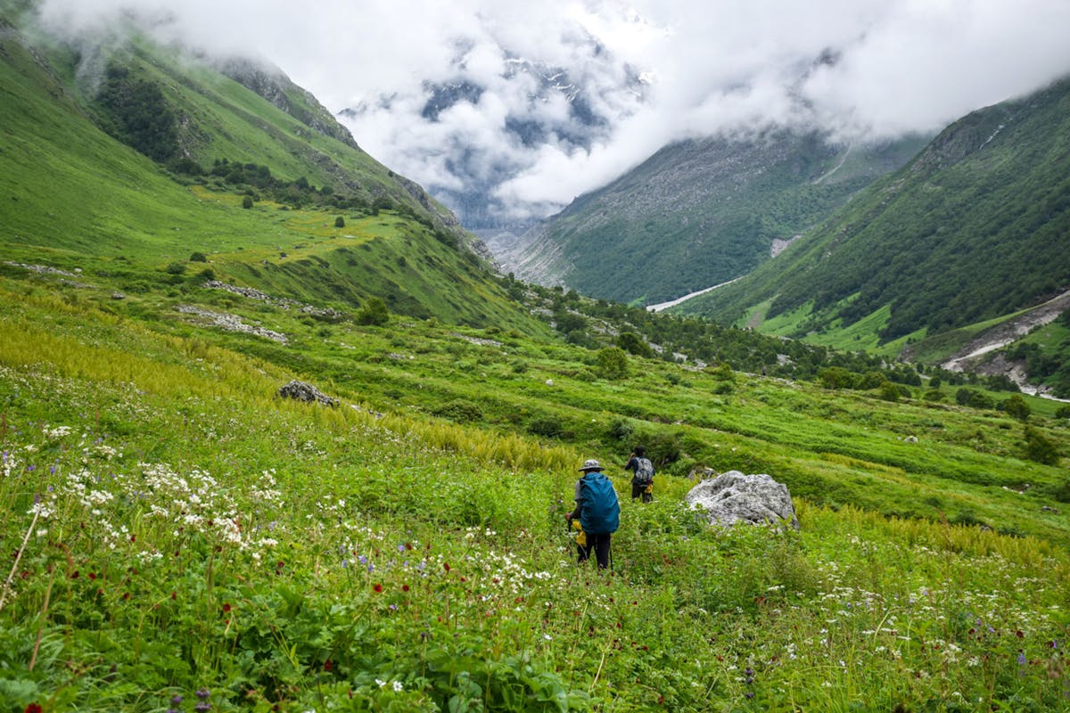 valley of flowers trek best time valley of flowers trek distance valley of flowers trek cost valley of flowers trekking packages valley of flowers trek difficulty valley of flowers indiahikes valley of flowers trek from ahmedabad
valley of flowers trek uttarakhand
valley of flowers trek itinerary ghangaria to valley of flowers trek distancev how difficult is valley of flowers trek hemkund sahib and valley of flowers trek govindghat to valley of flowers trek distance
is valley of flowers trek open now valley of flowers trekking packages valley of flowers trekking Flowers in the valley