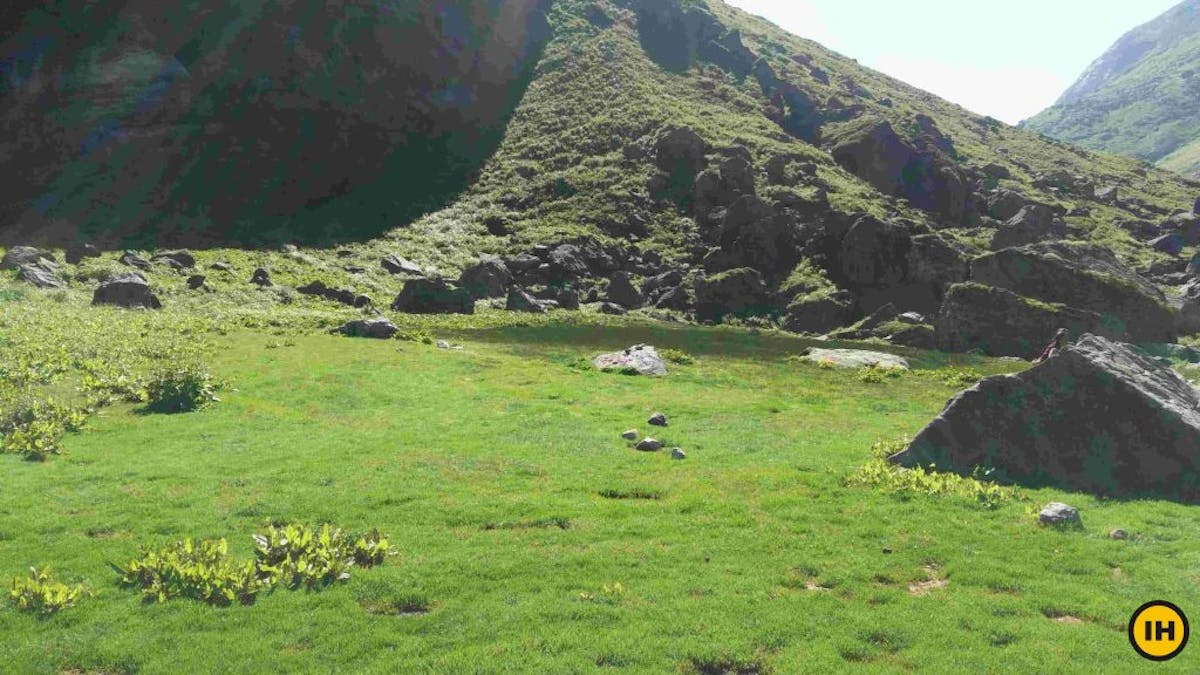 gwaru pass grasslands indiahikes archives