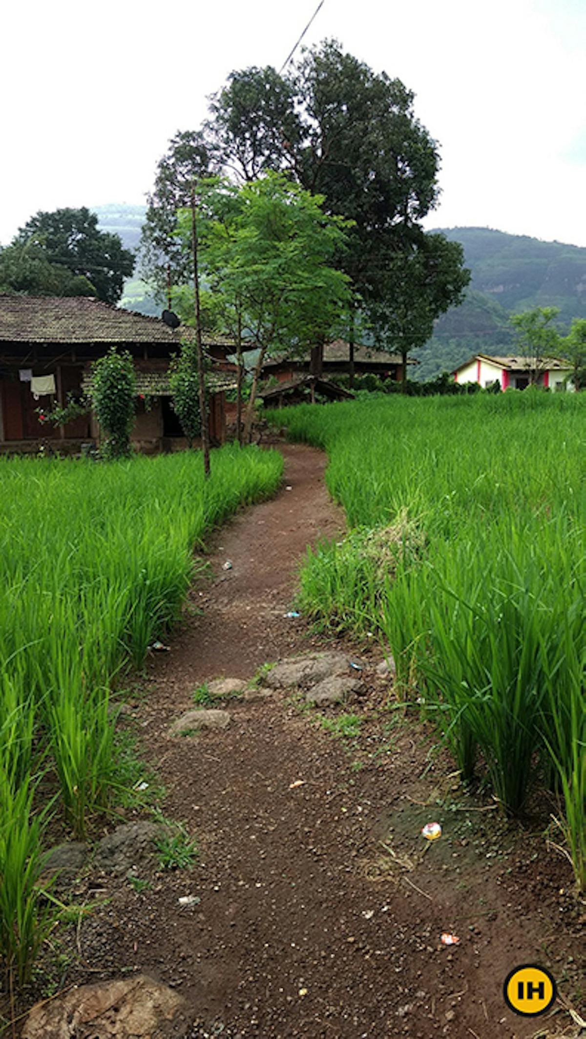 Beginning of the trail at Thakurwadi PC: Apoorva Karlekar