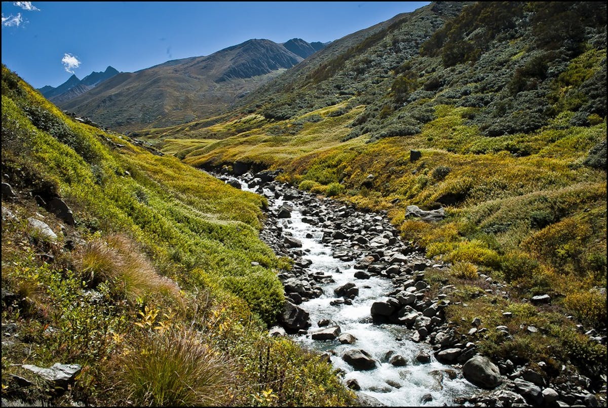 Mountain-Stream-Jiwa-Nala-Parvati-Valley-Trek-Indiahikes-Archives