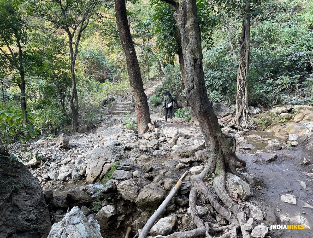 Neeragarh waterfalls, Treks near Dehradun, Indiahikes, Slushy and muddy section.