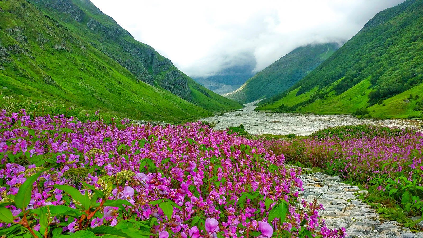Valley of Flowers Trek 2024 Uttarakhand Cost, Itinerary, Photos