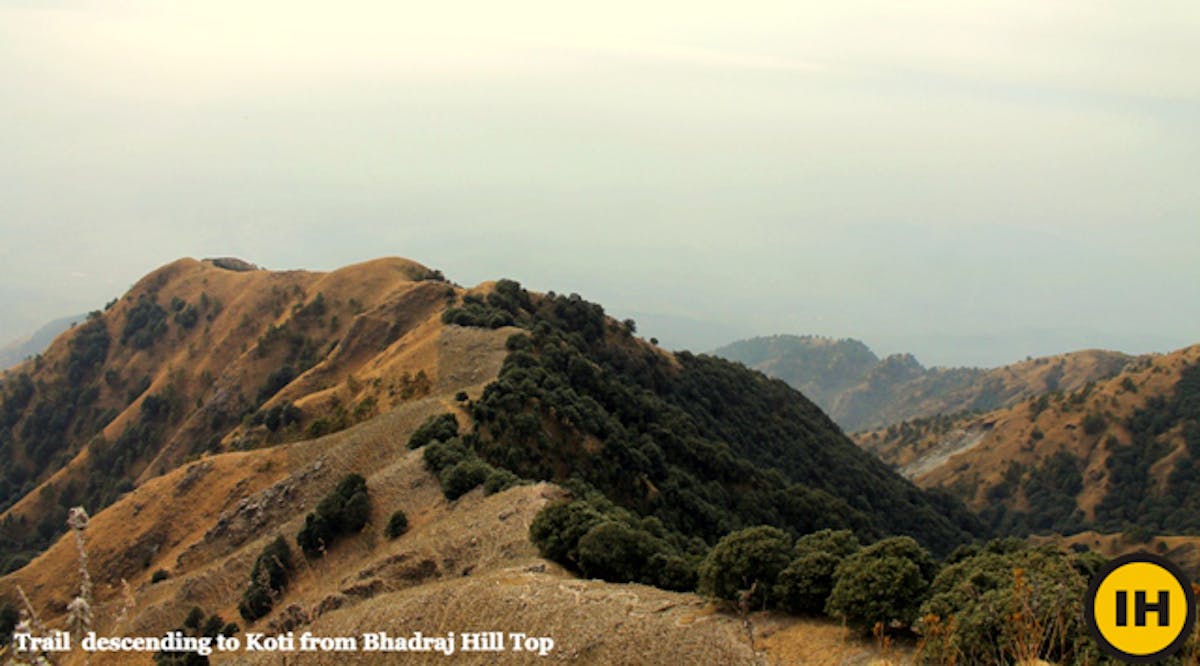 bhadraj hill-trail from koti-indiahikes-archives