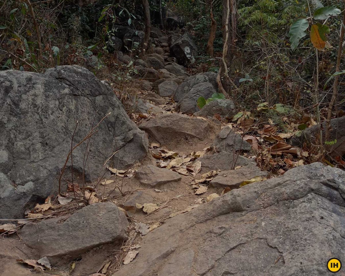 Biharinath Hill - Indiahikes - Vishal Jain