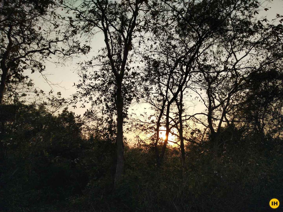 Biharinath Hill - Indiahikes - Protyonik Roy