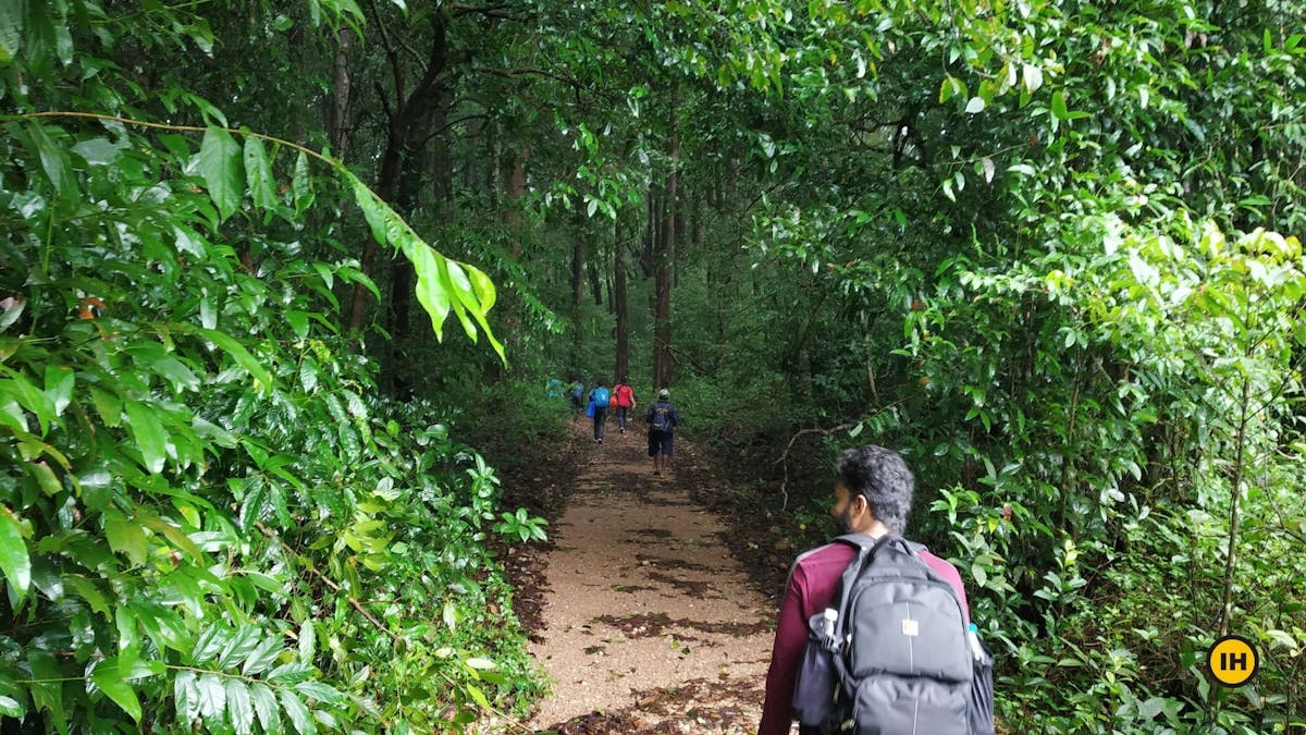 Kurinjal-Peak-Trek-Trekking-inside-the-forest-Indiahikes-Naveen-Ganiga