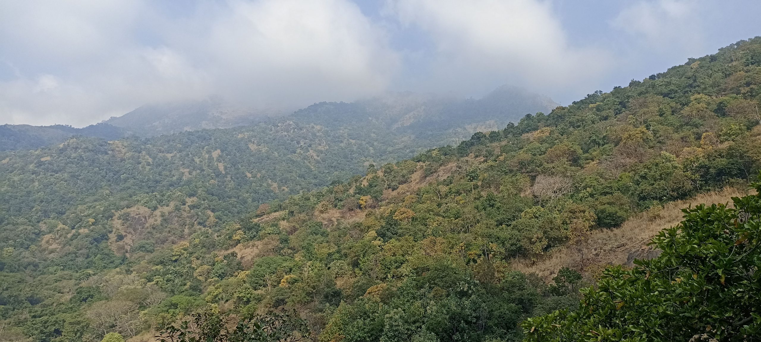 Sathuragiri Hill Trek