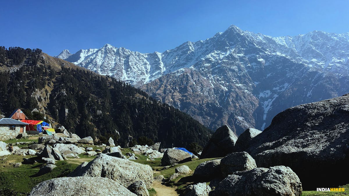 Dhauladhar Range, Triund trek, Indiahikes, Treks in Himachal Pradesh, Himachal Treks