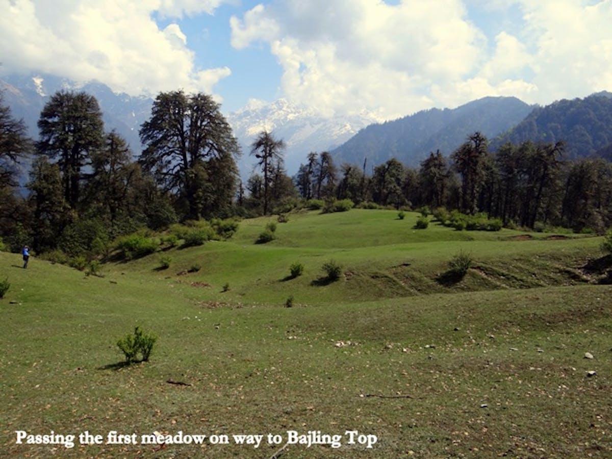 Meadow - indiahikes - indiahikes archives
