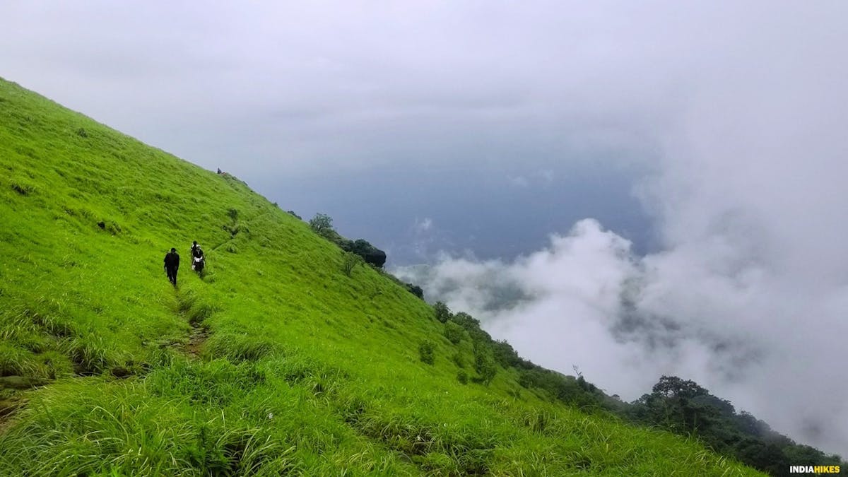 Kumara Parvatha, Indiahikes, Western Ghats treks, Karnataka treks, treks in Karnataka, most difficult trek in the western ghats of Karnataka