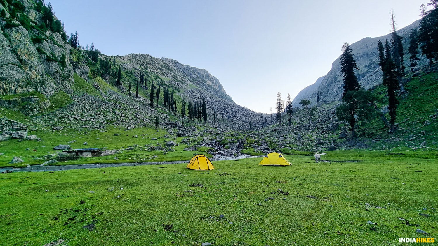 indiahikes nafran valley trek