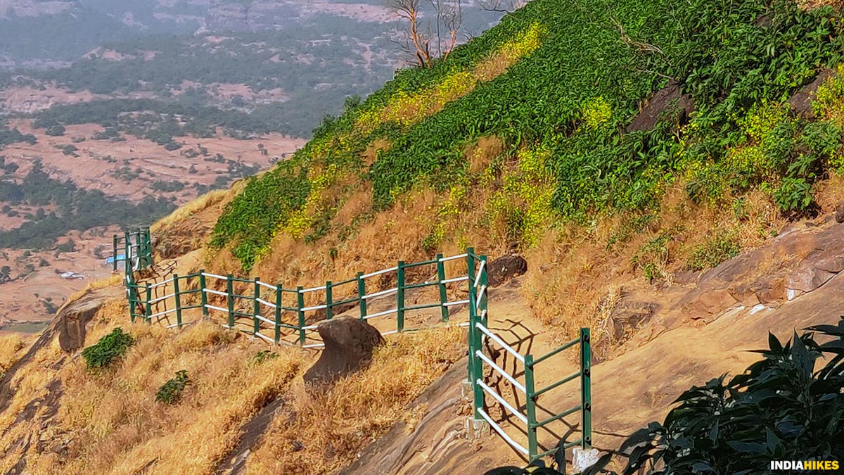 Pachnai trail, Harishchandragad, Sahyadri treks, Treks in Maharashtra, Western ghats treks, Treks near Mumbai, Treks near Pune