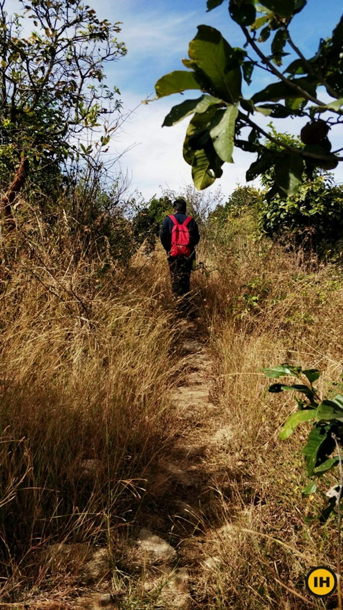 Stone steps mark the trail here so there is no possibility of getting lost PC: Vishnu Benne