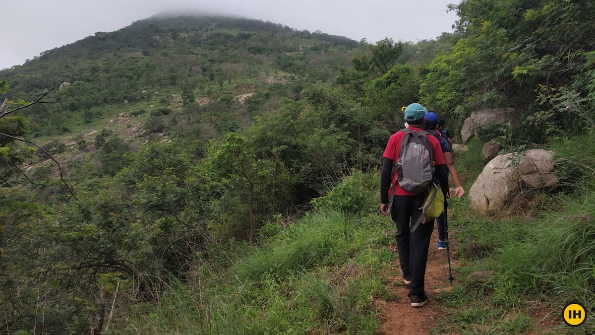 Nandi One, Brahmagiri trek - Trail from the Saddle - Indiahikes - Saurabh Sawant